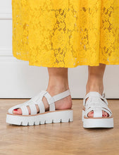 Load image into Gallery viewer, FALSE